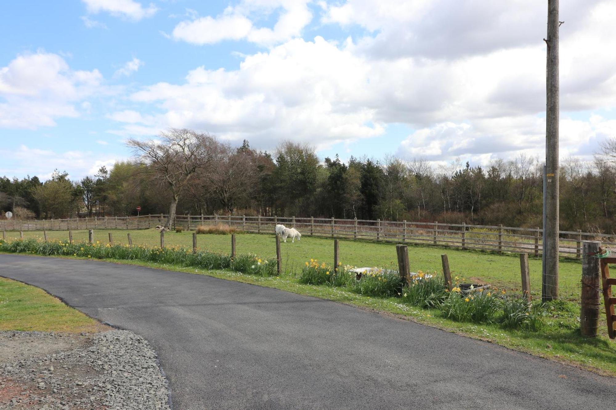 Kirk of Shotts Blairmains Guest House מראה חיצוני תמונה